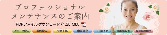 プロフェッショナルメンテナンスのご案内